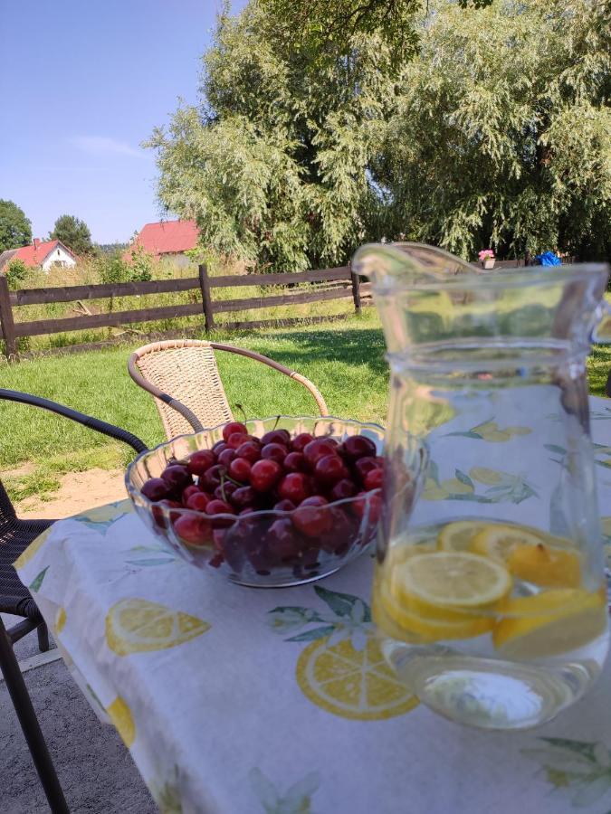 Kostrzyca Chata Na Karpackiej מראה חיצוני תמונה